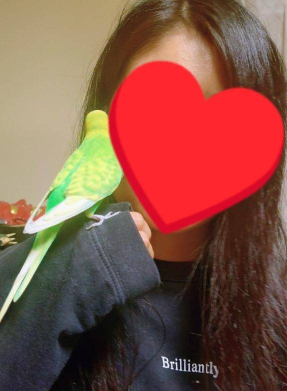 おやすみ前に…???