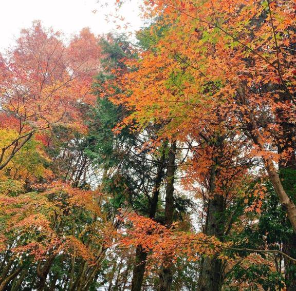 柏木 あいか(下関 スタイリッシュ秘書)