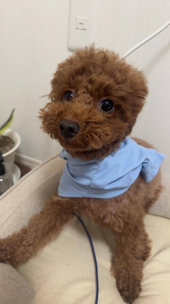 70分のお兄様へ