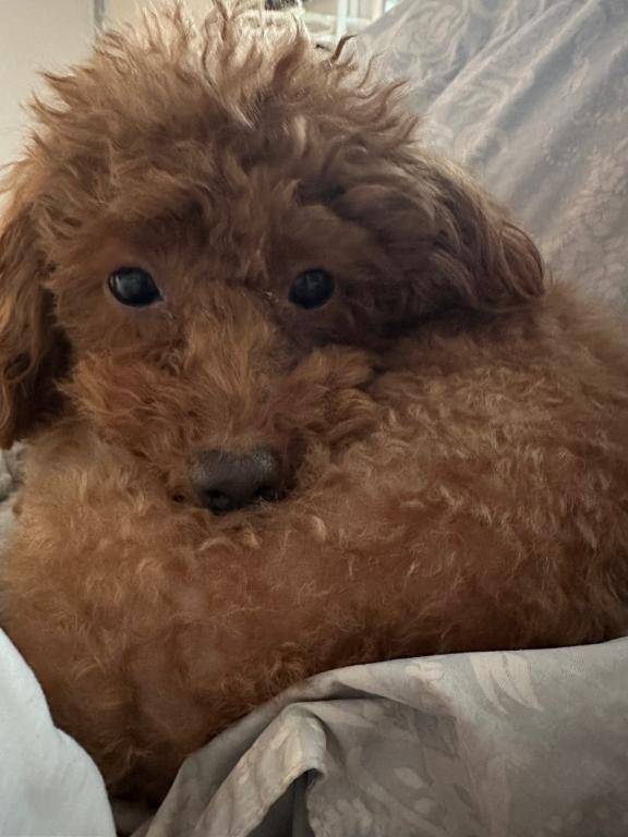 80分のお兄さんへ