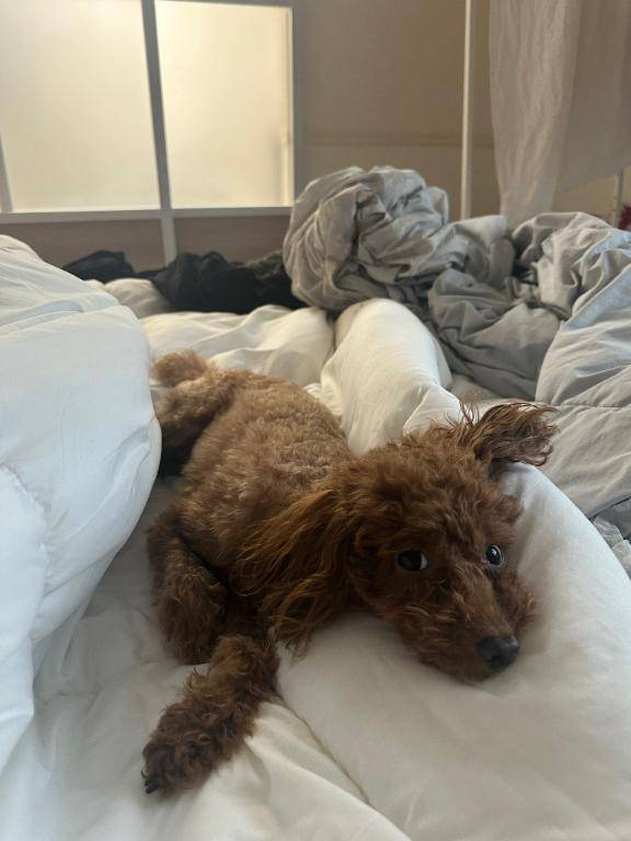 110分指名してくれたお兄さんへ