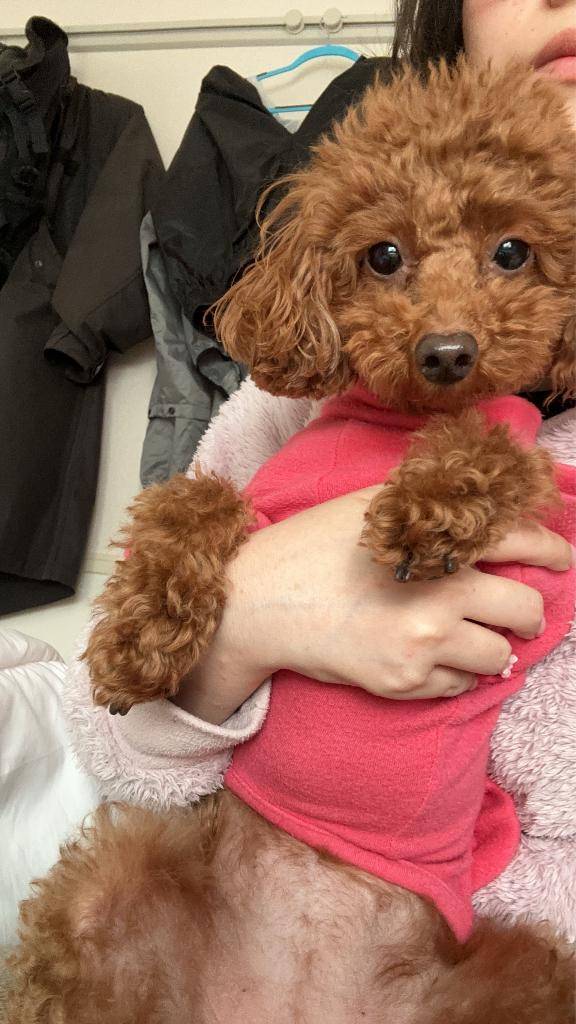 60分の指名のお兄さんへ