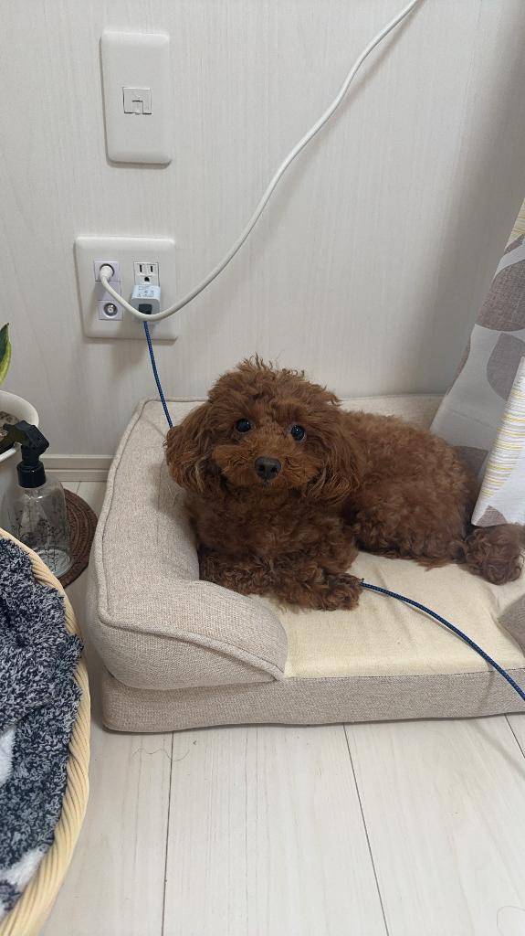 80分指名してくれたお兄さんへ