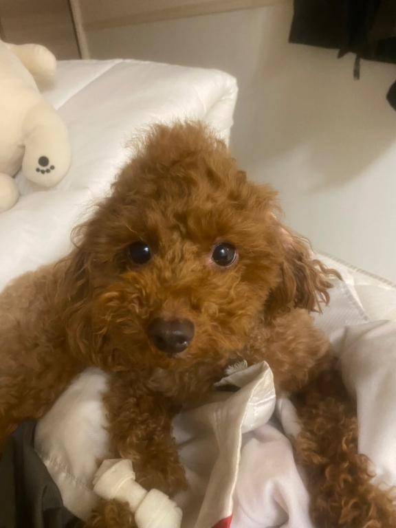 お疲れ様でした??