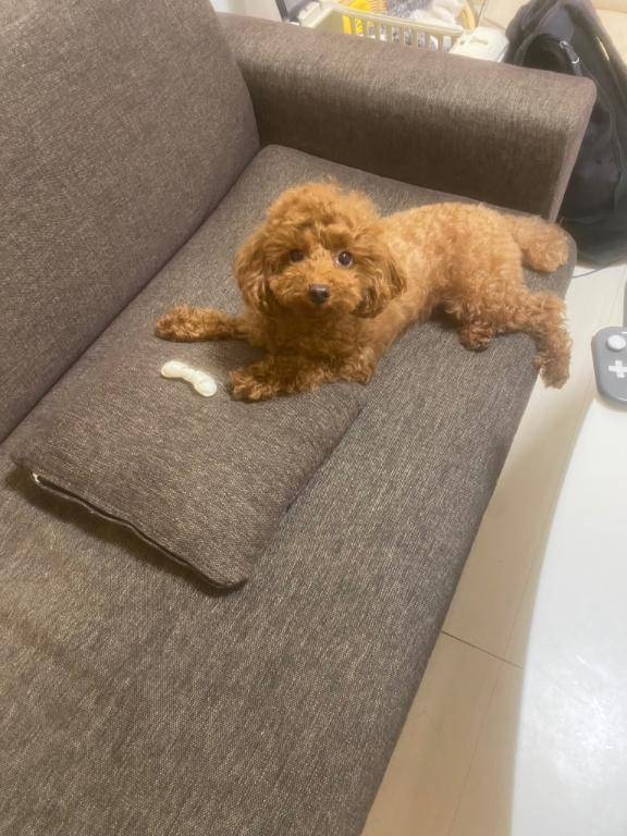 60分のお客さんへ