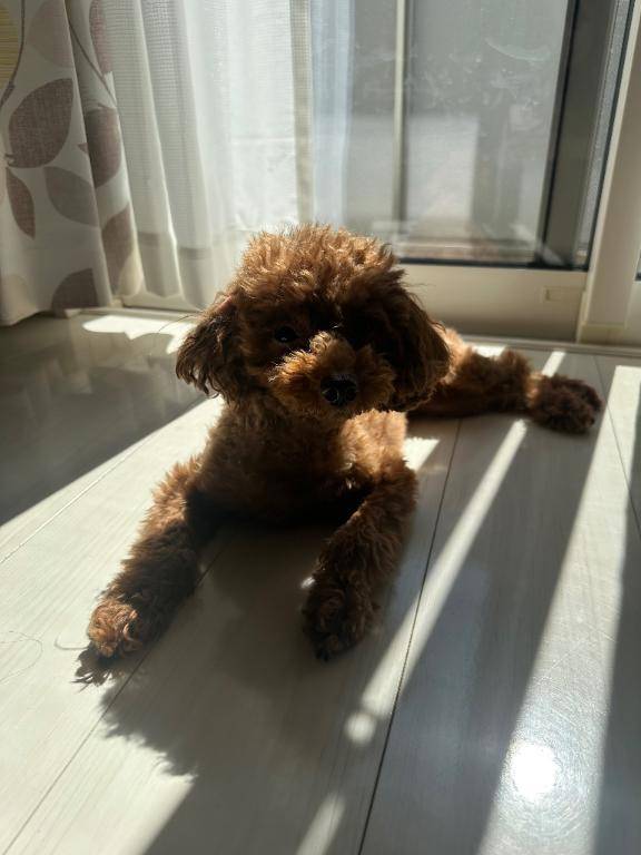 60分指名してくれたお兄さんへ