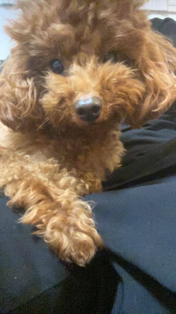 80分のお兄さんへ