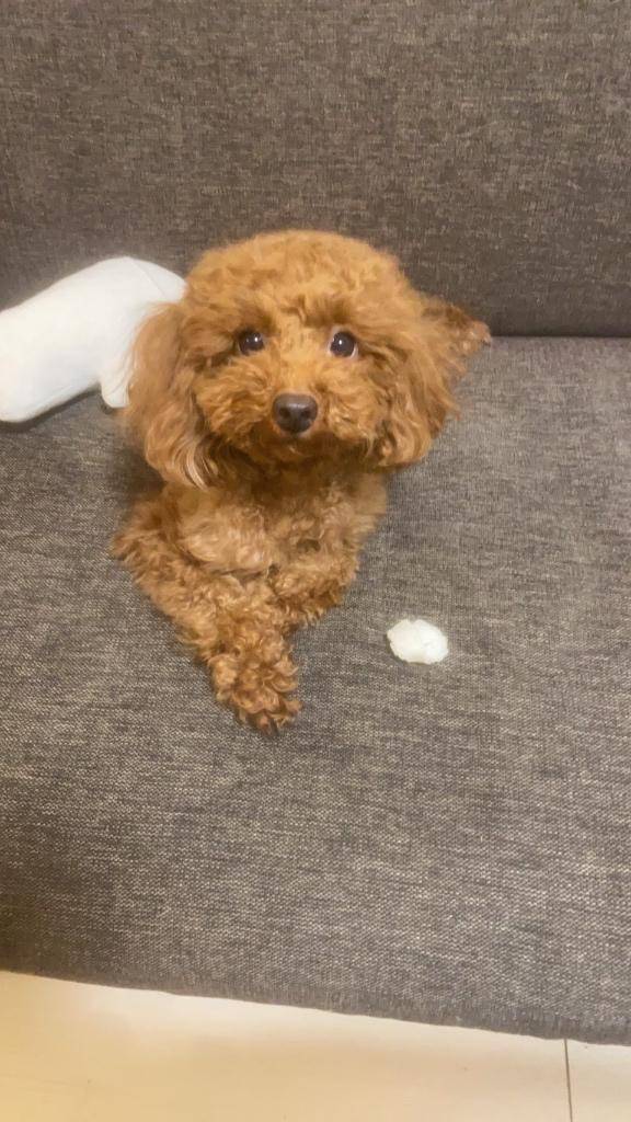 70分の指名のお兄さんへ