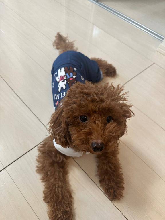 おはようございます?