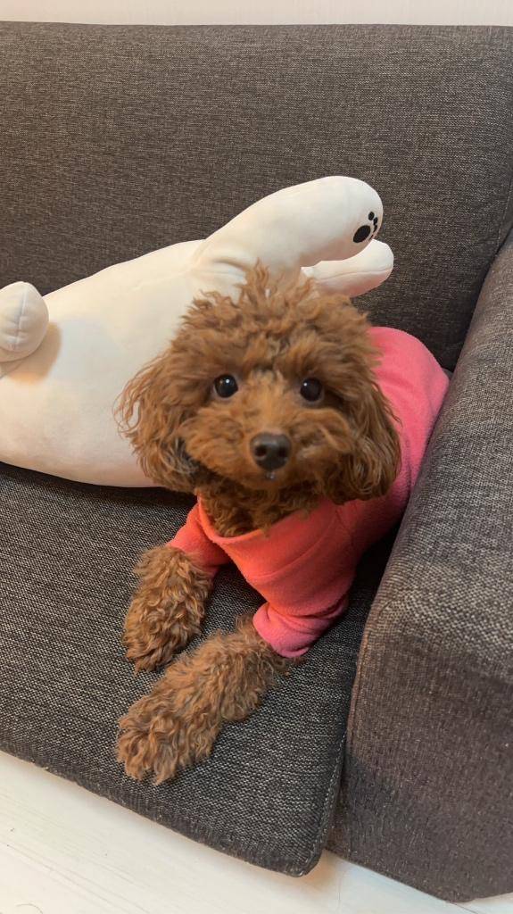 60分指名のお兄さんへ