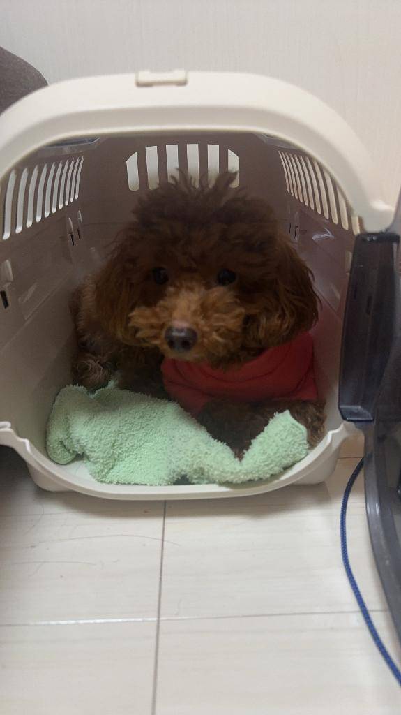 70分の指名のお兄さんへ