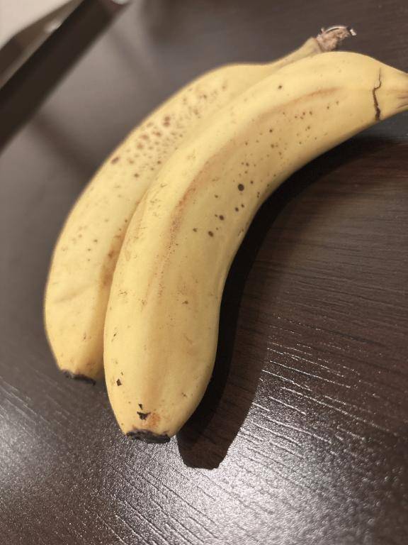 おはようございます??