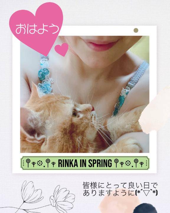 ???今日は??♀?に行く日?