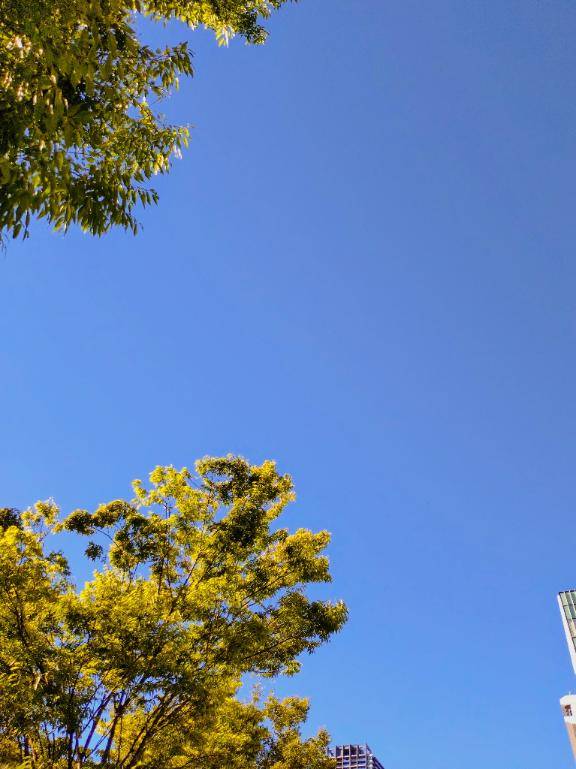 雲ひとつない