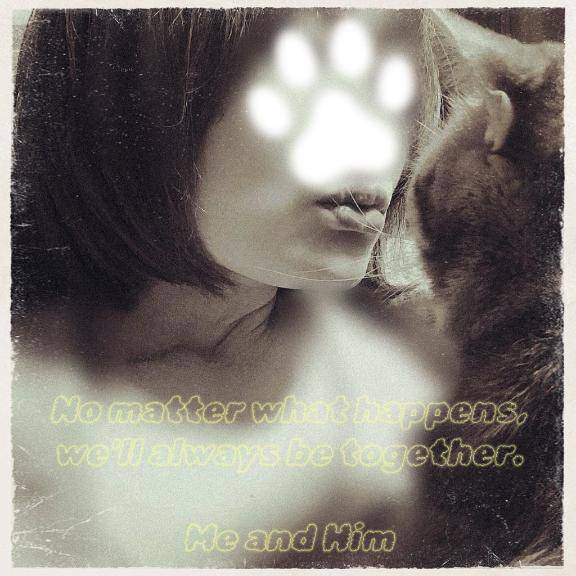 ｶﾀ:(??ω??):ｶﾀ