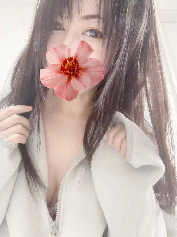 [お題]from:猫動画に連打さん