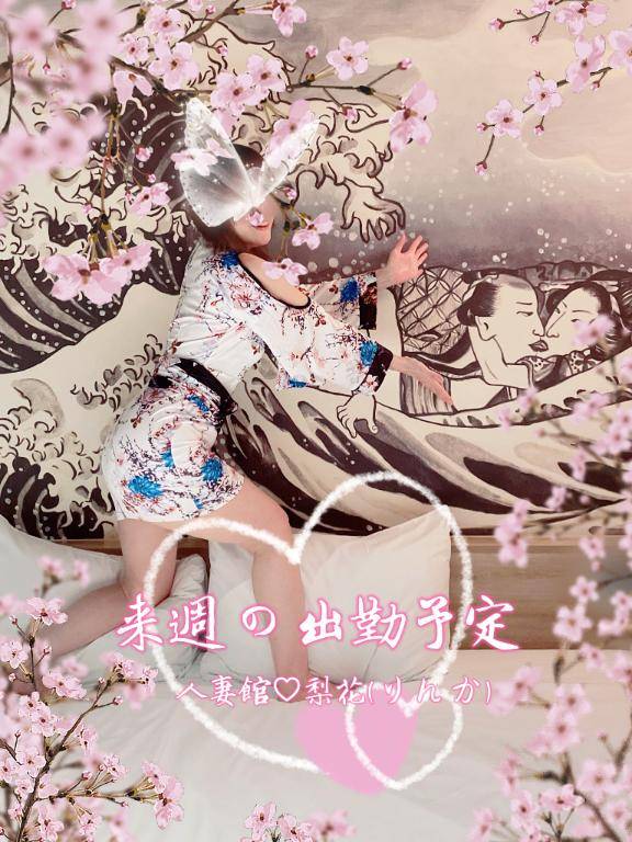 来週の予定?決定