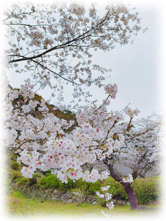 姫ウィーク休暇のお知らせ