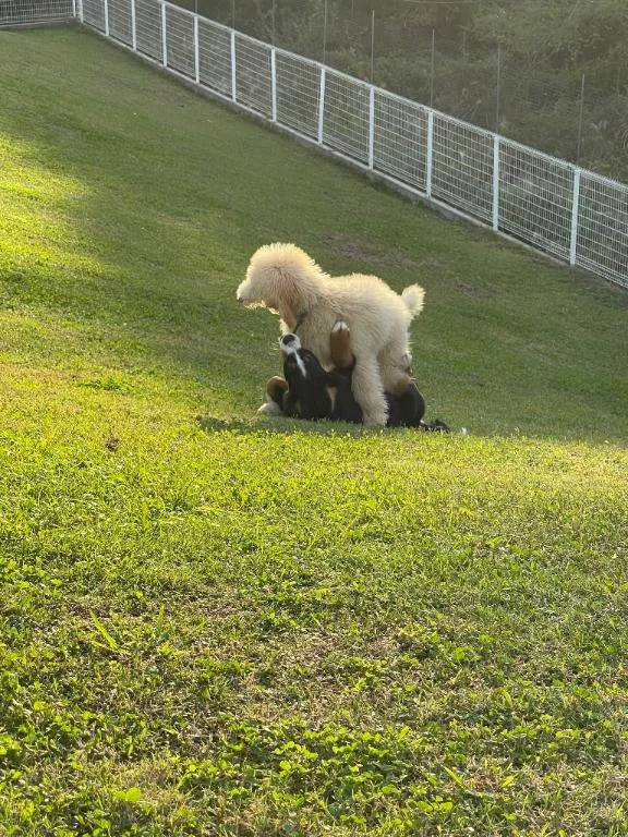 おはようございます☀️