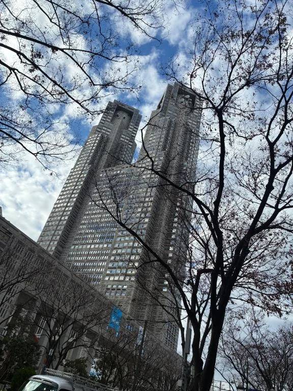 今朝はここから