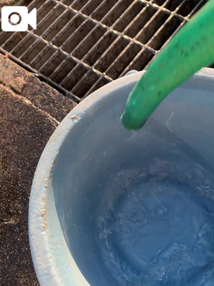 そこらじゅうカチカチ🥶