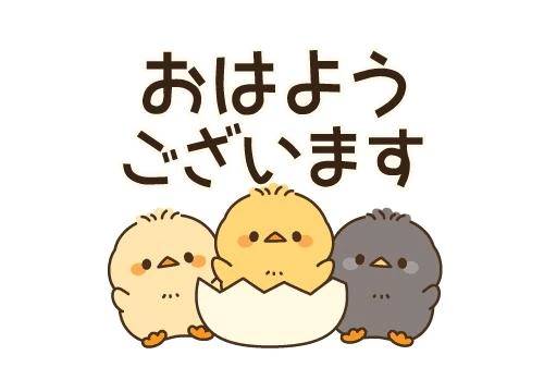 *˙︶˙*)ﾉ"