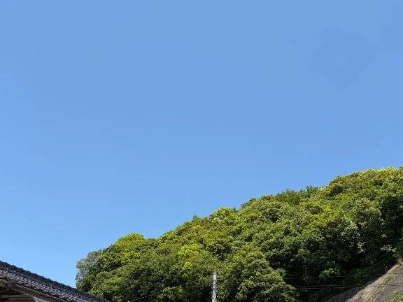 こんにちは