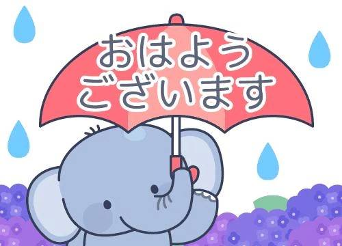 ☂️🌧