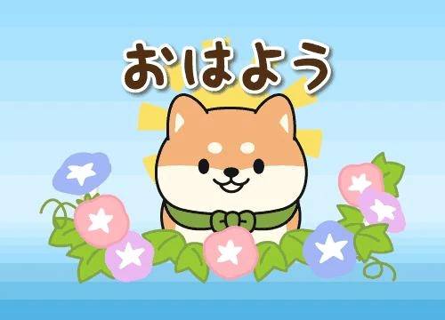 (*´▽｀)ﾉﾉ