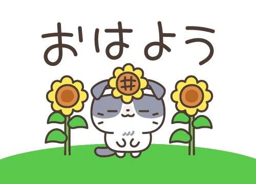 ( ˶˙ᵕ˙˶ )