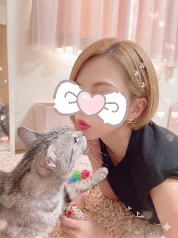 まとめ買い🐱