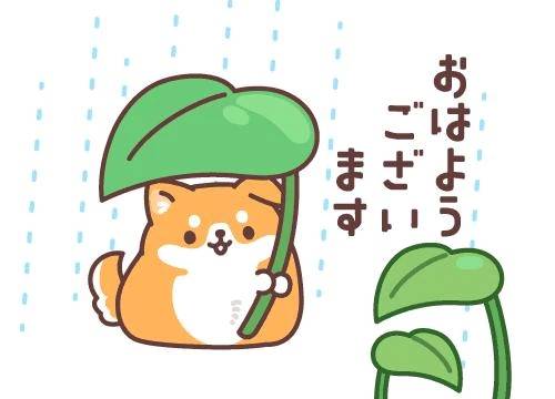 (*´▽｀)ﾉﾉ