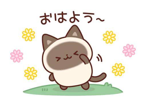 ( ˶˙ᵕ˙˶ )☀️