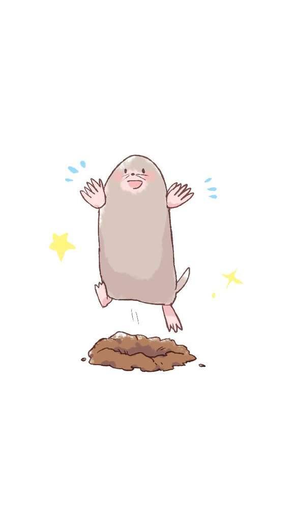 【アニマル診断】今日の運勢ランキング