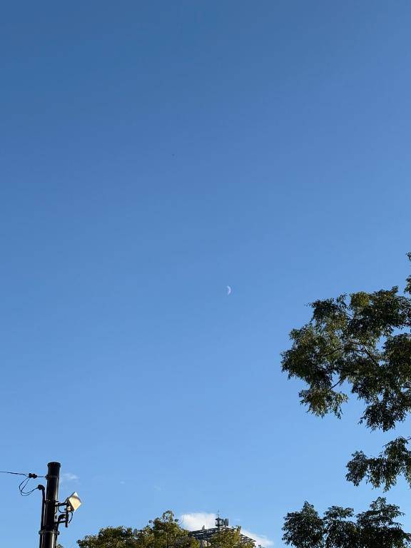 ごめんなさい😿