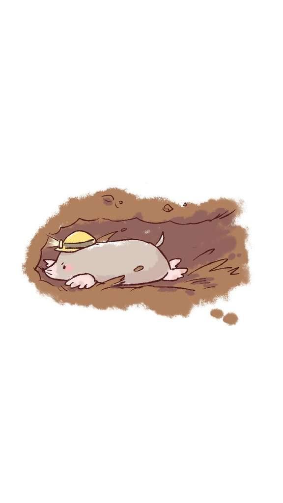 【アニマル診断】今日の運勢ランキング