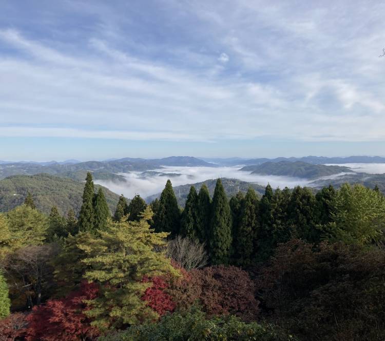 出勤してます。