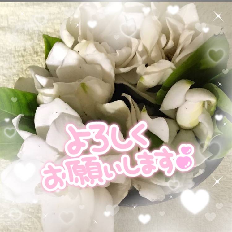 ごめんなさい_(o*。_。)o_