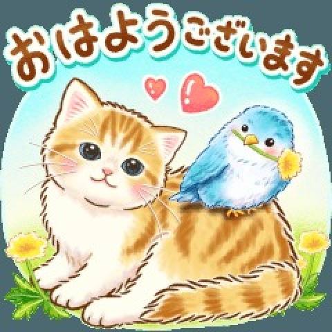 おはようございます。