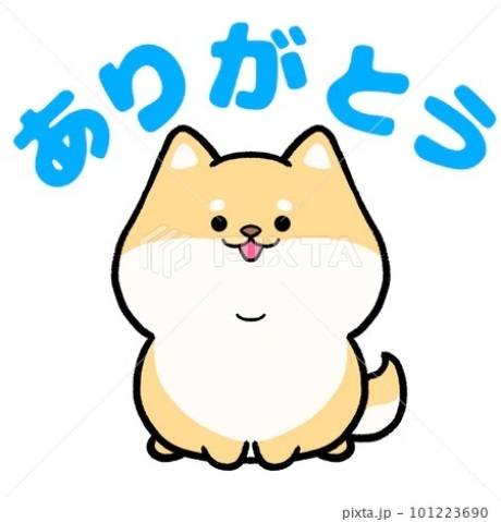 オーキッドのリピ様。