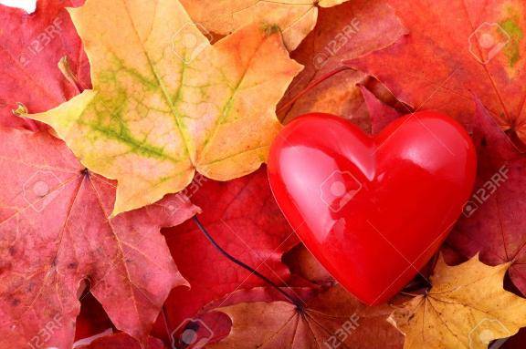 ILでお逢いした「H」様へ