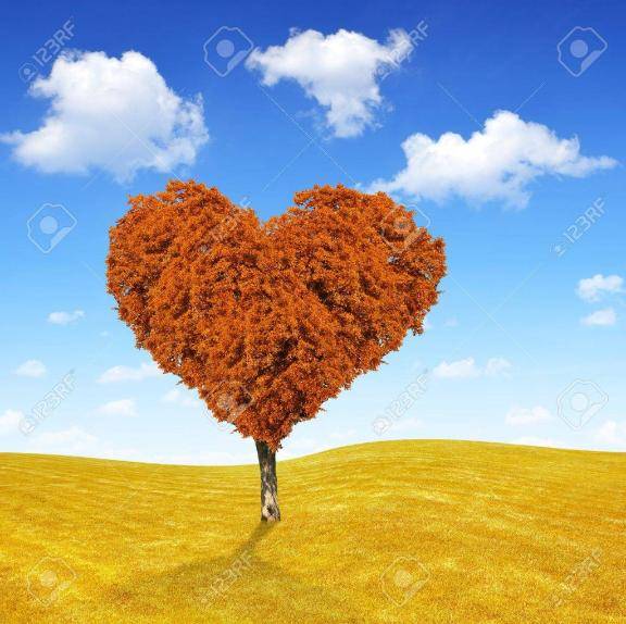 ILでお逢いした「K」様へ