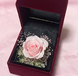 ありがとうございましたm(_ _)m