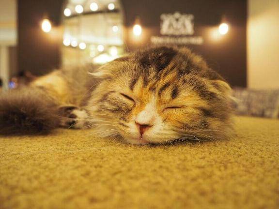 白雪姫でお逢いした「F」様へ