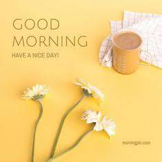 米原詩織（五十路マダム愛されたい熟女たち　倉敷店(カサブランカグループ)）