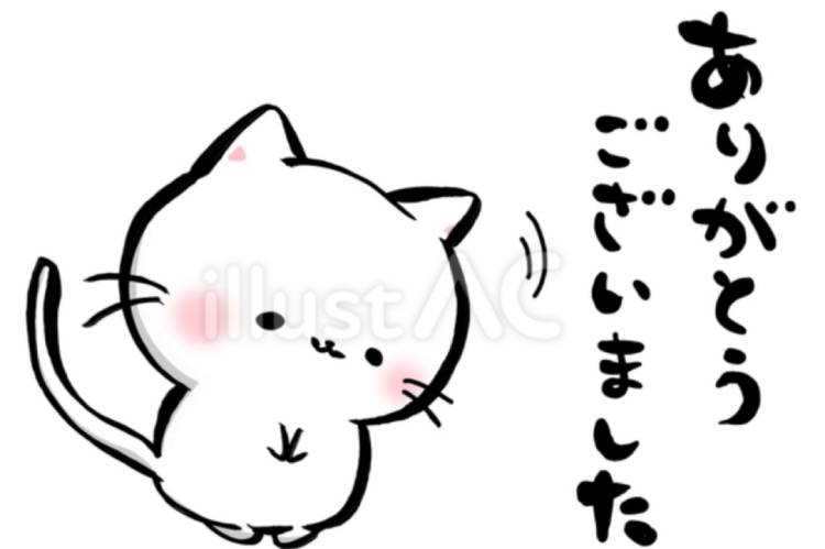 石本千春(五十路マダム愛されたい熟女たち 倉敷店(カサブランカグループ))