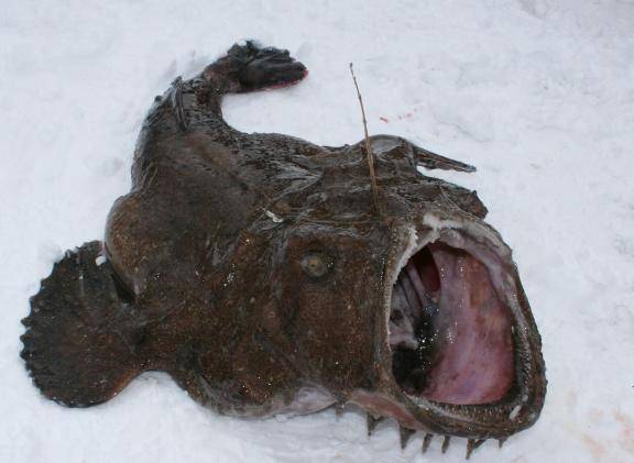 Knobでお逢いした「M」様へ