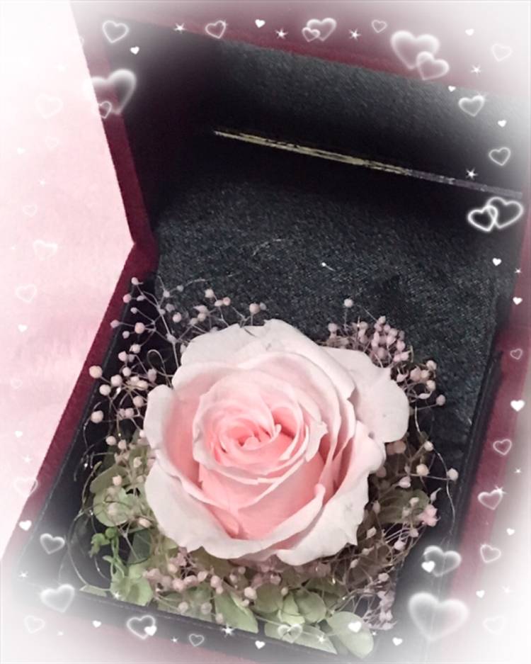 ありがとうございましたm(_ _)m 