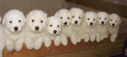 森下かおる（五十路マダム愛されたい熟女たち　倉敷店(カサブランカグループ)）