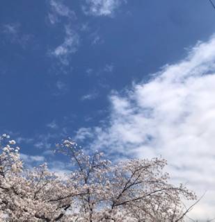 出勤日を変更しましたm(_ _)m 